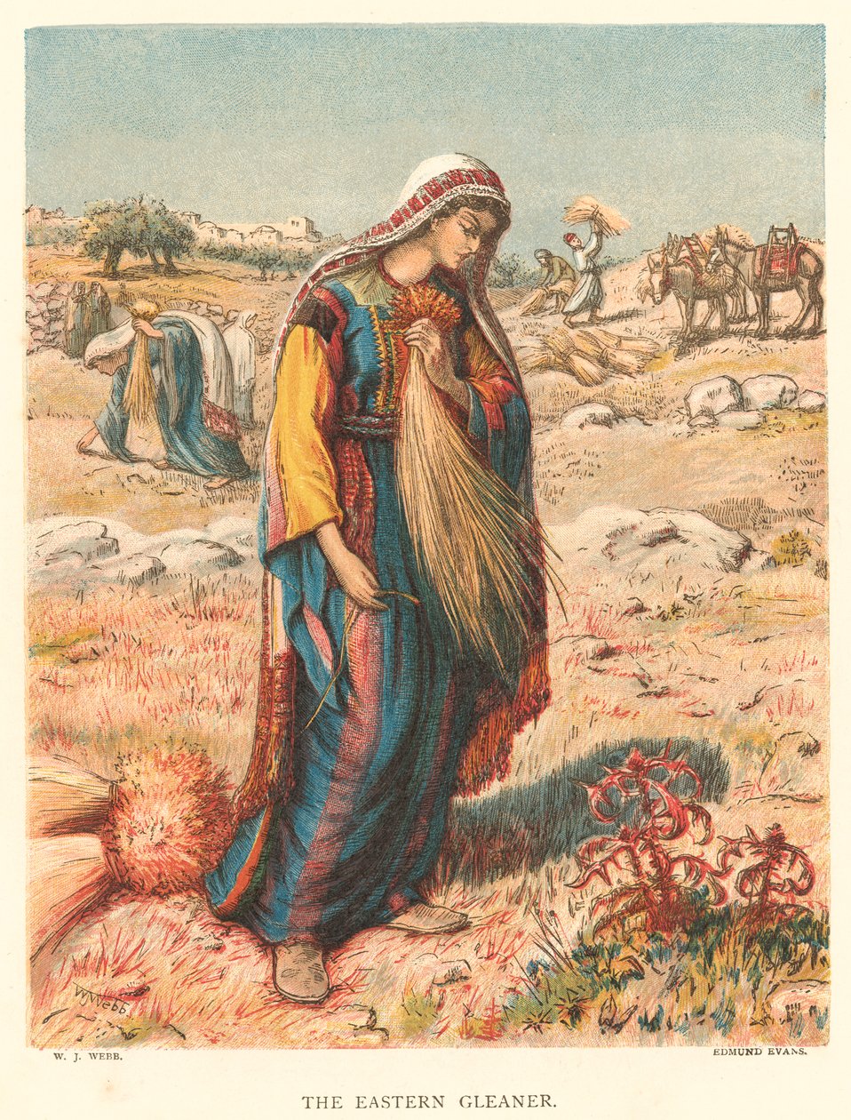 The Eastern Gleaner (gravura a cores) de William J. Webbe or Webb