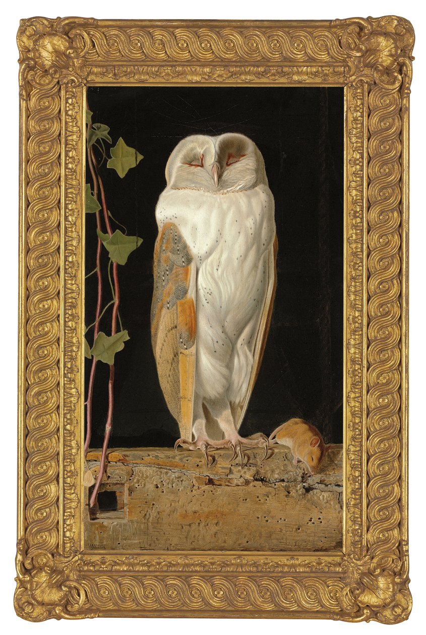 A coruja branca, 1856 de William J. Webbe or Webb