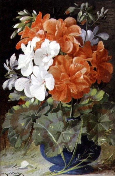 Pelargoniums de William Jabez Muckley