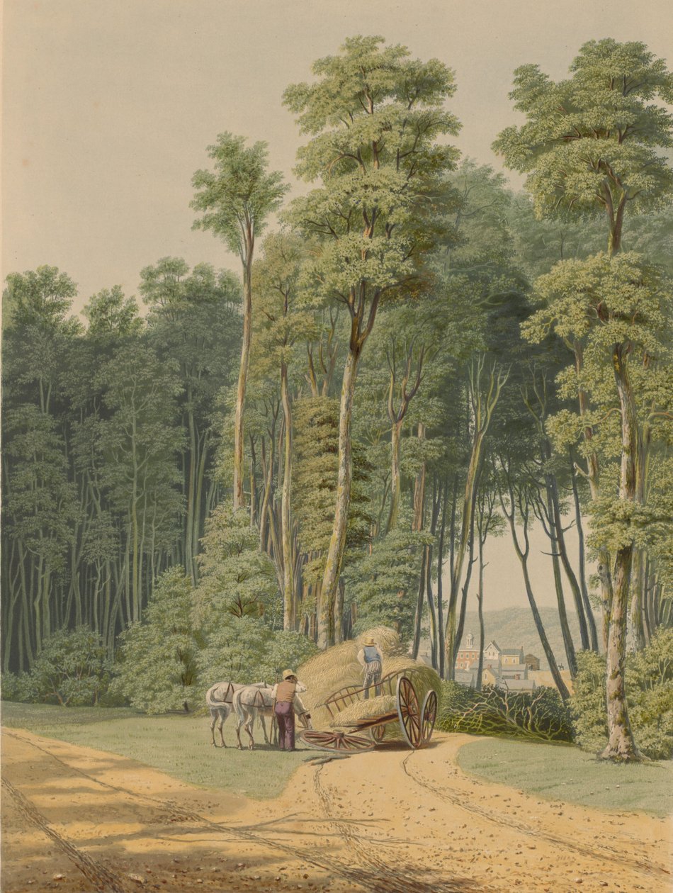 Acidente rodoviário de Verão. Um vislumbre de uma abertura da Floresta Primitiva... 1841. de William James Bennett
