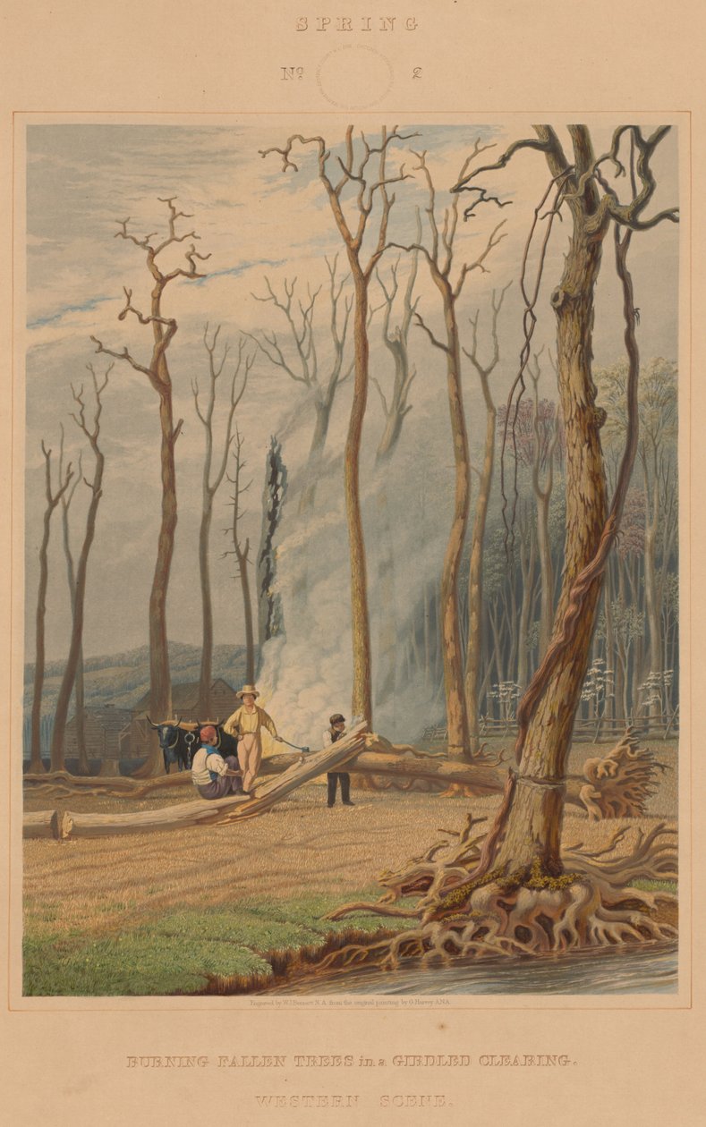 Primavera - Queimando árvores caídas em uma clareira cingida. Cena ocidental de William James Bennett after George Harvey