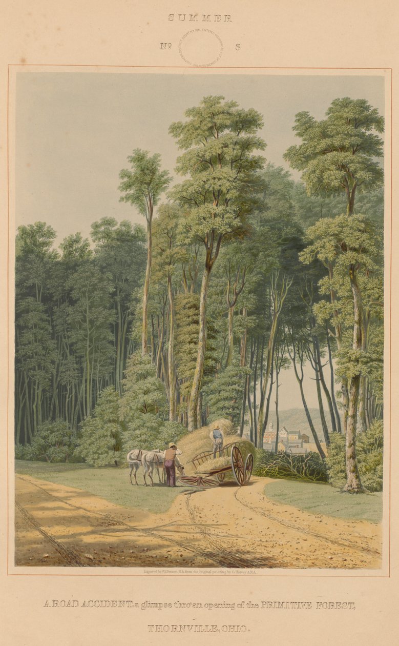 Verão - um acidente de viação. Um vislumbre de uma abertura da Floresta Primitiva. Thornville, Ohio de William James Bennett after George Harvey