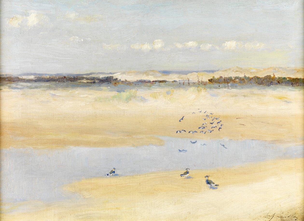 Galispos pelo mar de William James Laidlay