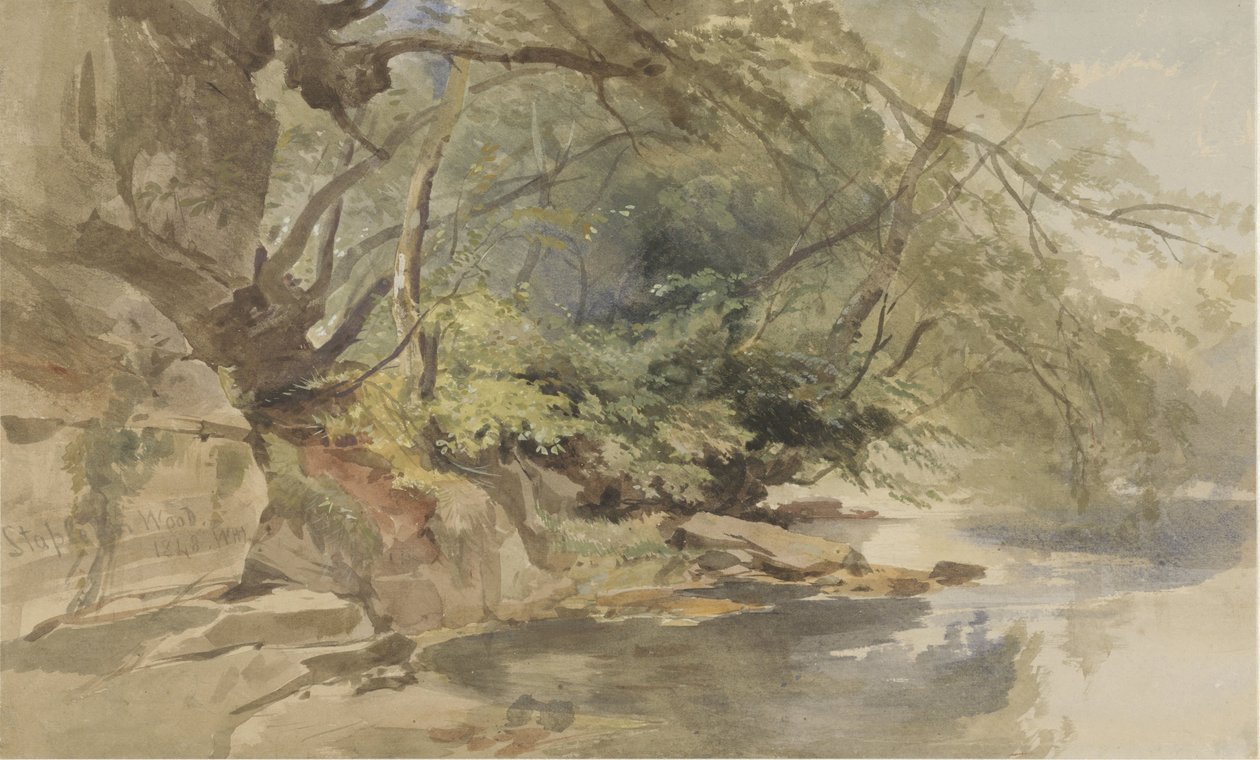 Rosto em Stapleton Wood, perto de Bristol de William James Muller