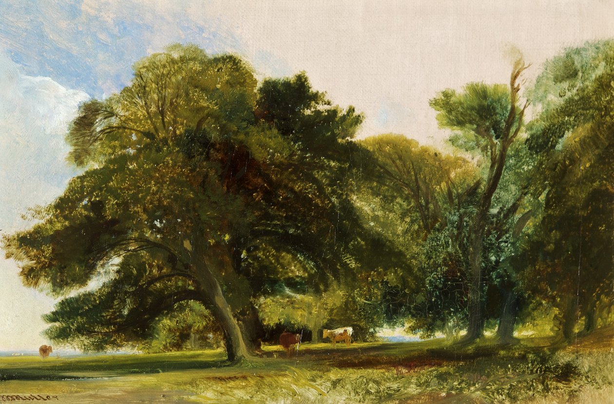Kingsweston Park - Sketch, c.1833 (óleo sobre tela) de William James Muller