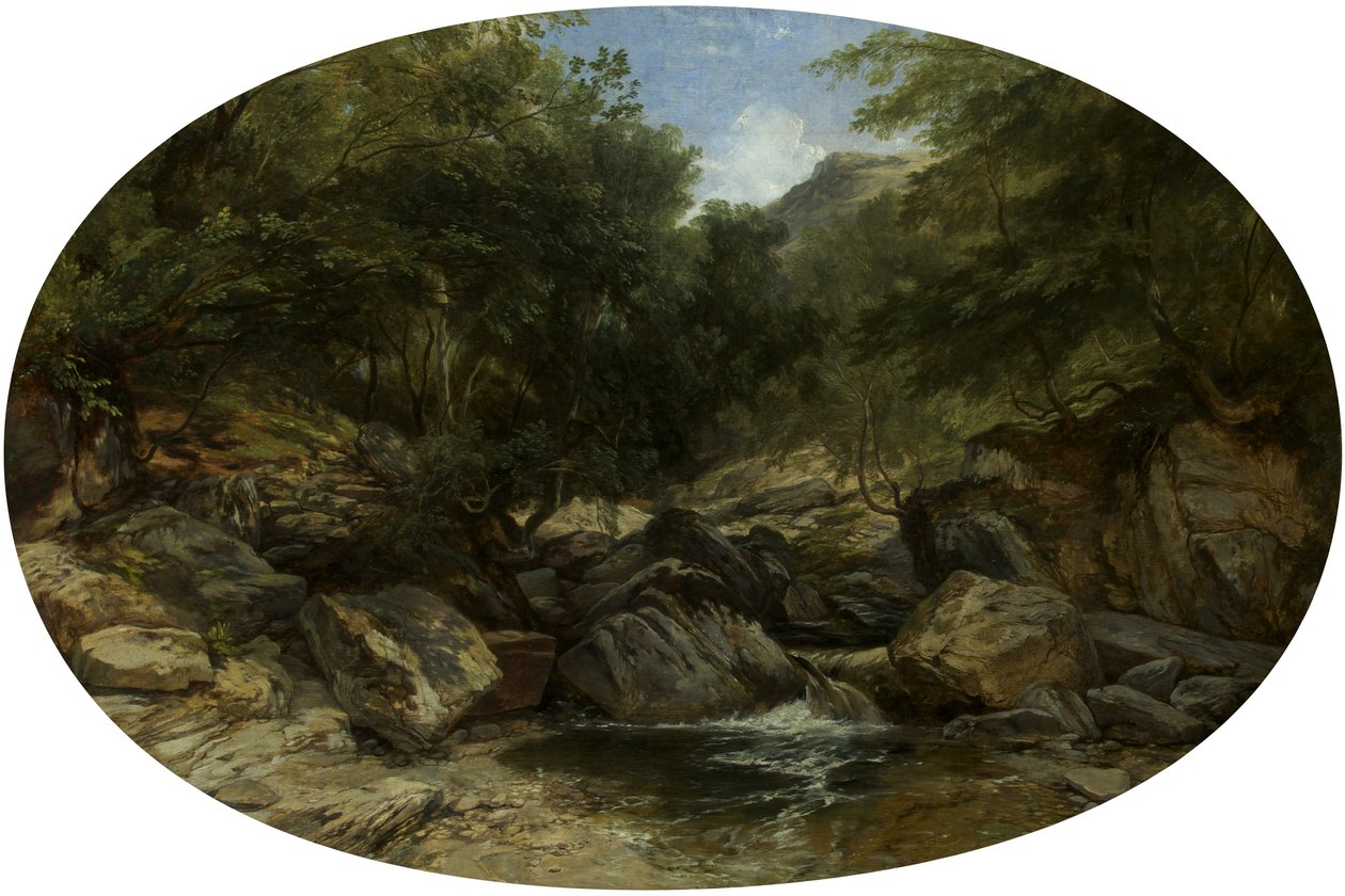 Rocky Stream em Lynmouth de William James Muller