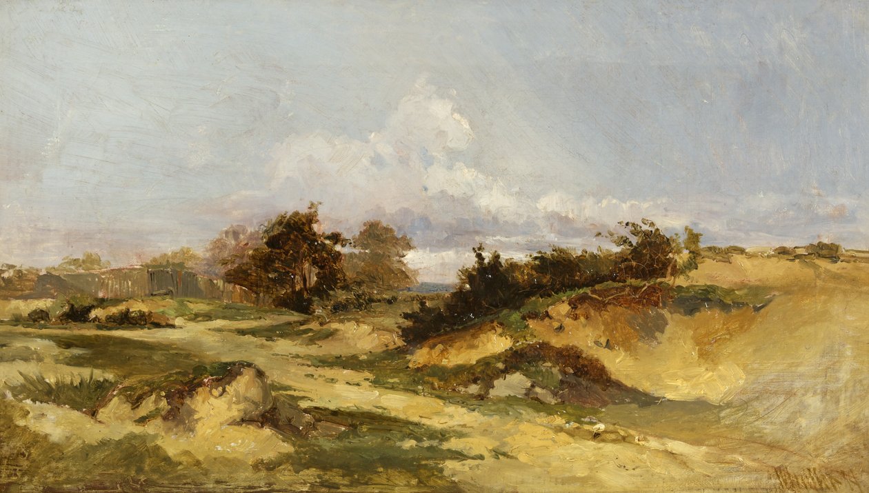 Poços de areia, Hampstead Heath de William James Muller