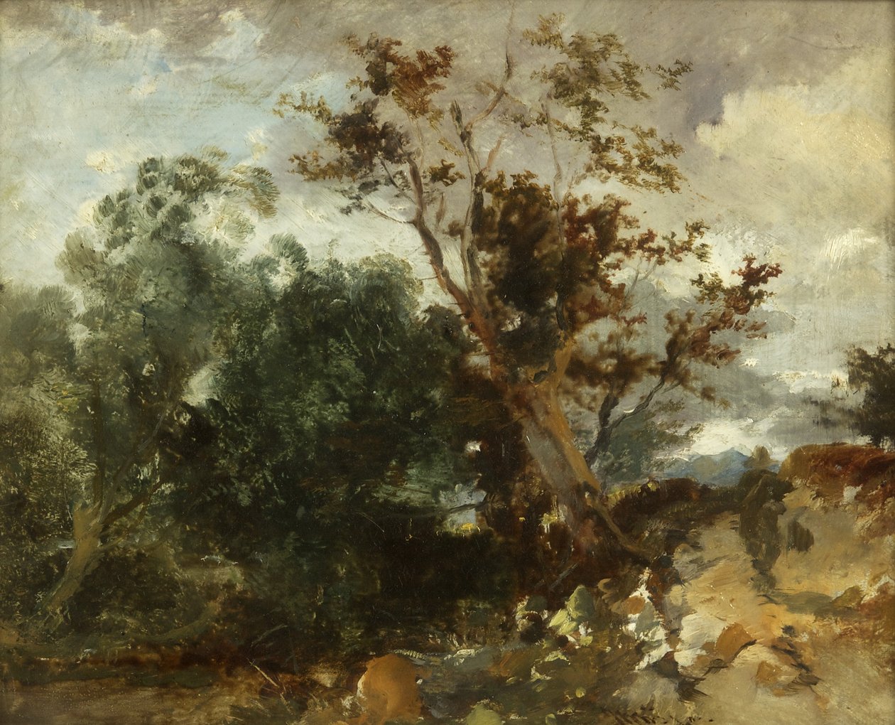 Estudo de Árvores, c.1840 (óleo sobre cobre) de William James Muller