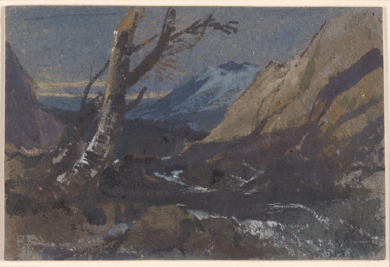 Estudo de árvores junto a um ribeiro de montanha de William James Muller