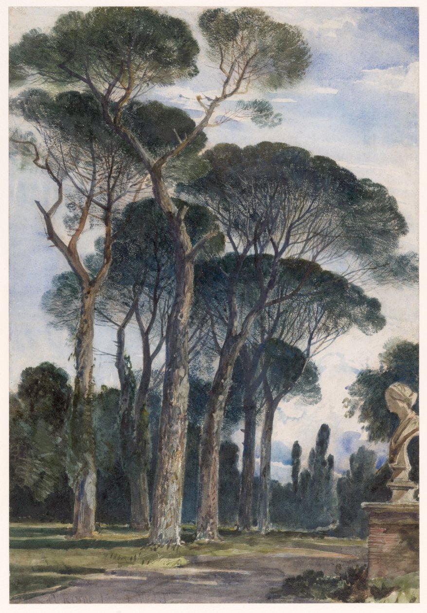 Pinheiros-mansos na Villa Borghese, Roma de William James Muller