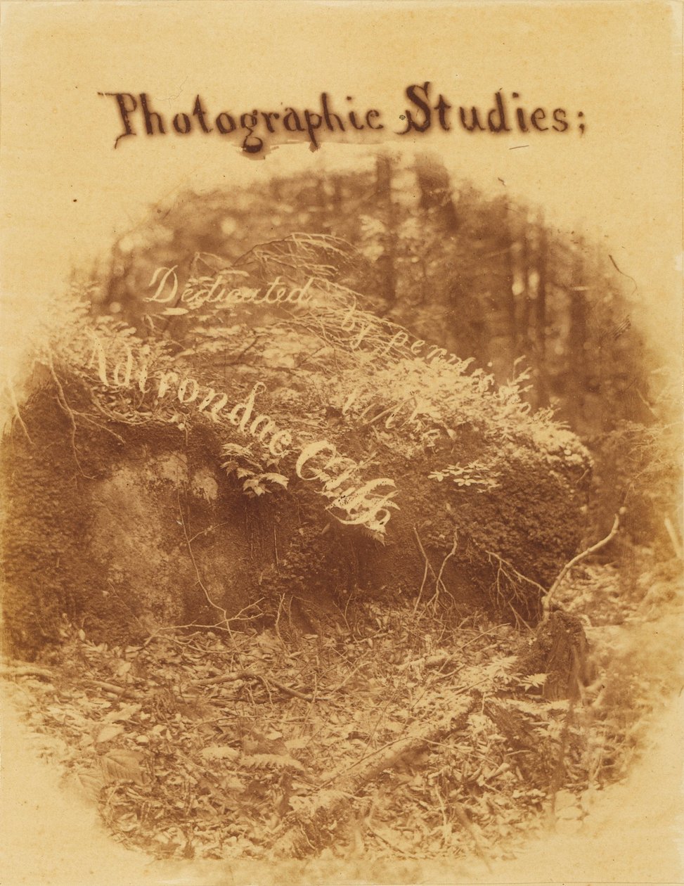 Sem título, da coleção A Floresta: Bosques de Adirondack de William James Stillman