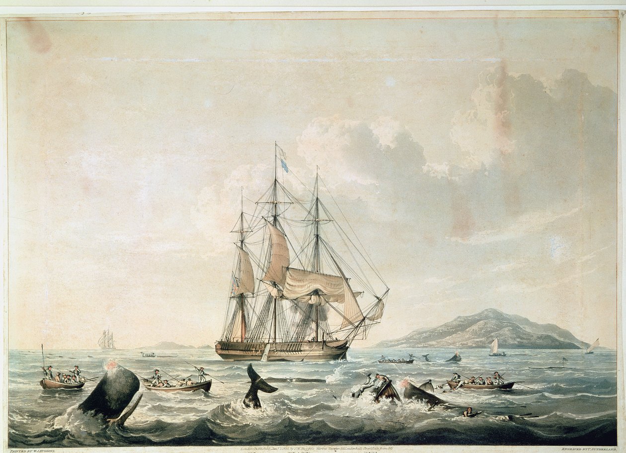 South Sea Whale Fishery, gravura de T. Sutherland de William John (after) Huggins