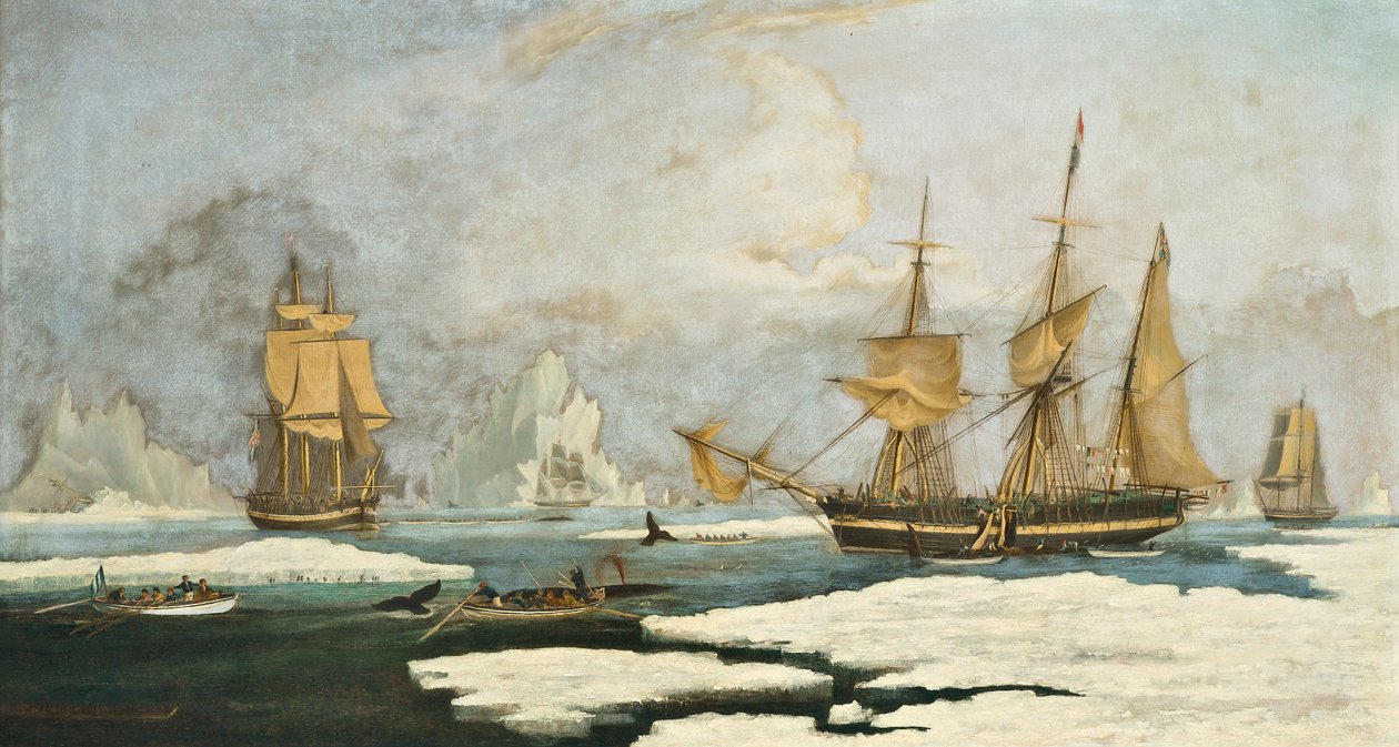 The Northern Whale Fishery: O navio Harmony of Hull e outros baleeiros presos ao gelo, caça focas, narvais e baleias no estreito de Davis, área baleeira na Groenlândia de William John Huggins
