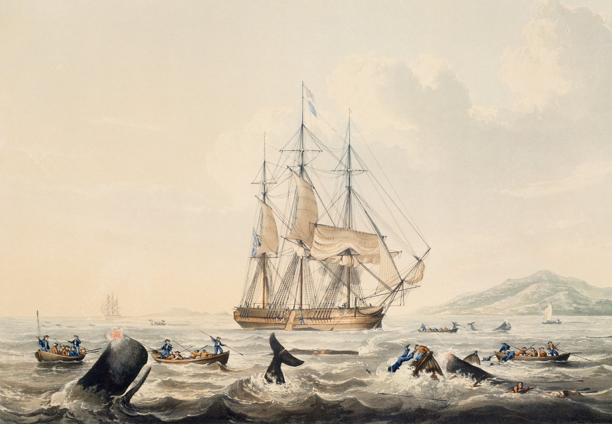 Baleeira nos Mares do Sul, gravura de William John Huggins (1781-1845), 44x57 cm de William John Huggins