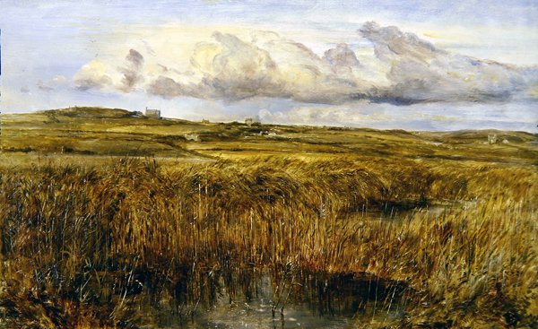 Rhoscolyn, Anglesey (óleo a bordo) de William Joseph J.C. Bond