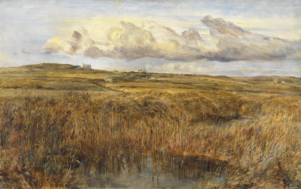 Rhoscolyn, Anglesey de William Joseph J.C. Bond