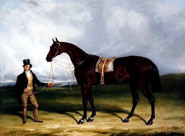 Bay Middleton, Vencedor do Derby de William Joseph Shayer