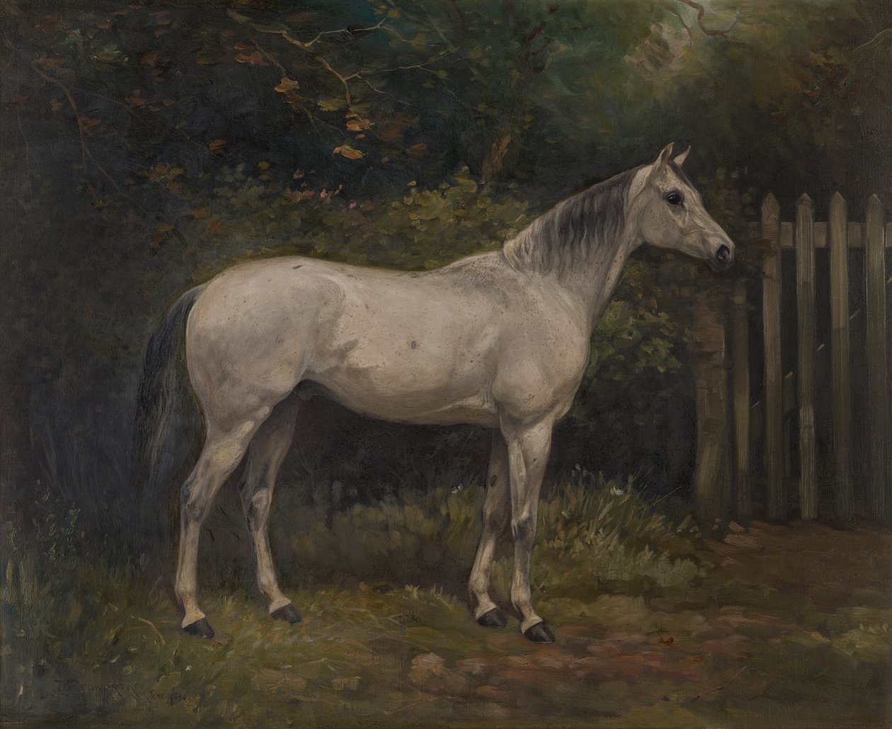 Pickles: um pónei Basuto, c.1904 (óleo sobre tela) de William Josiah Redworth