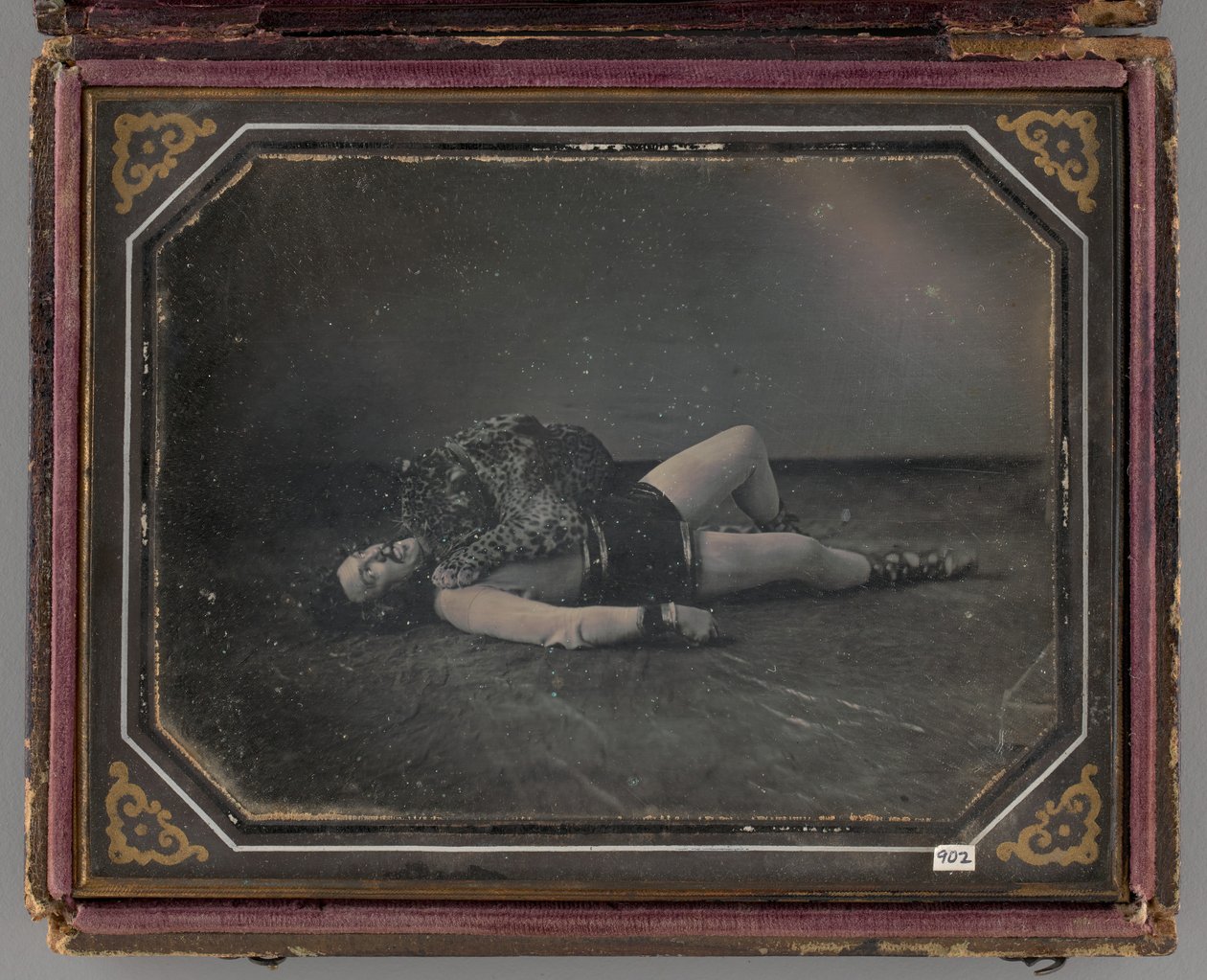 Retrato sem título de domador de animais selvagens Jacob Driesbach com Jaguar, 1850 de William Langenheim