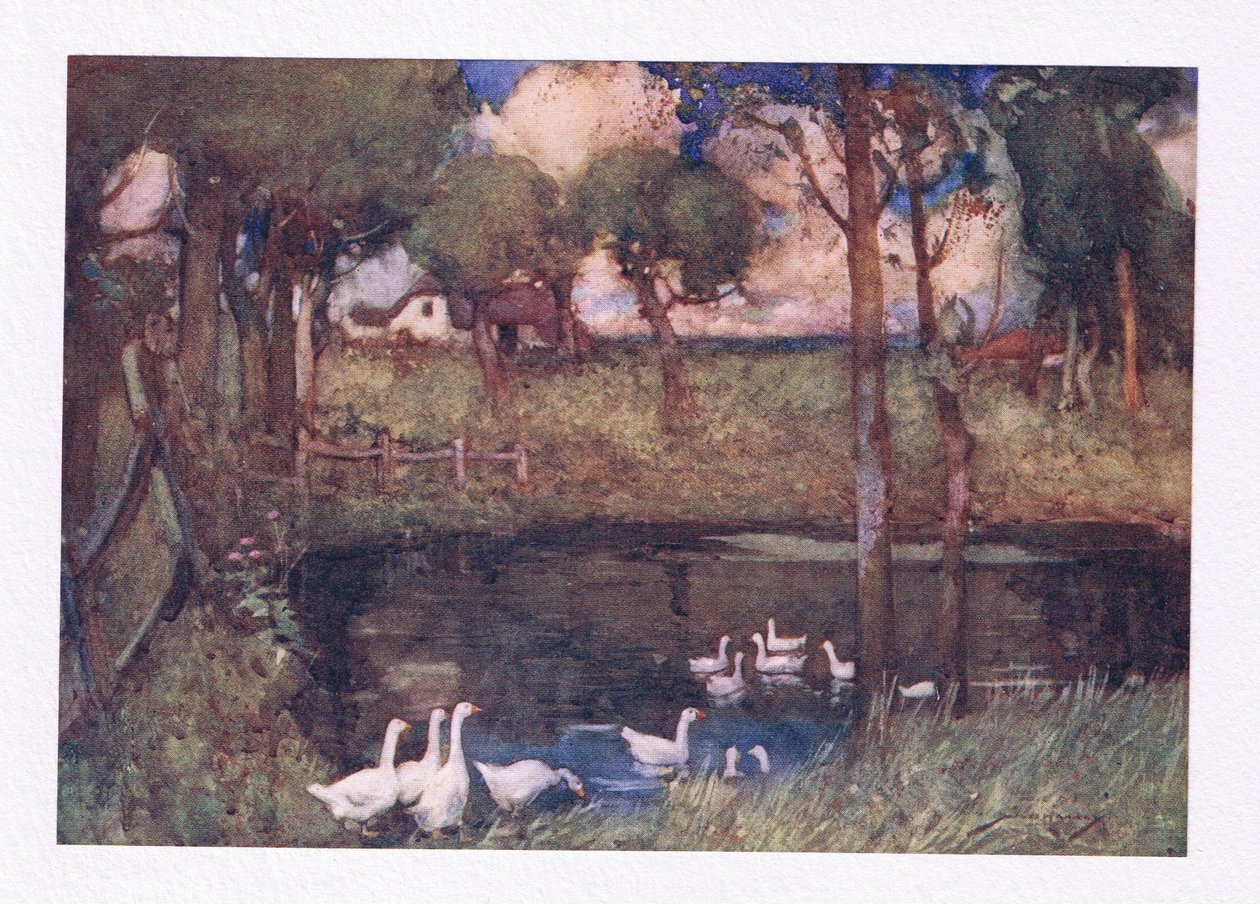 Os gansos ruidosos que tagarelavam sobre a piscina (cor litho) de William Lee Hankey