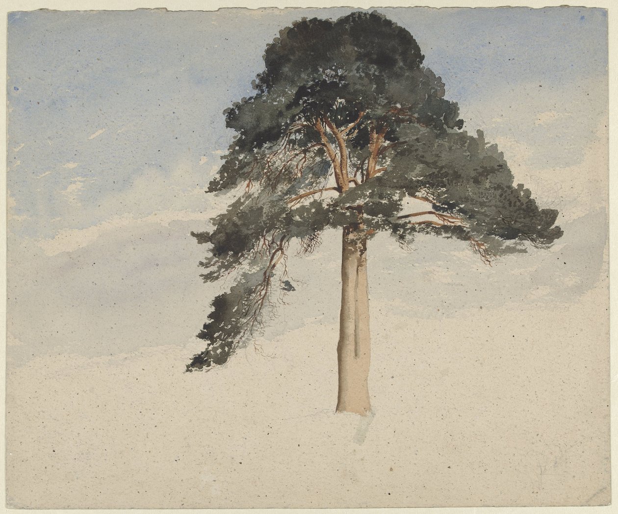 pinheiro escocês de William Leighton Leitch