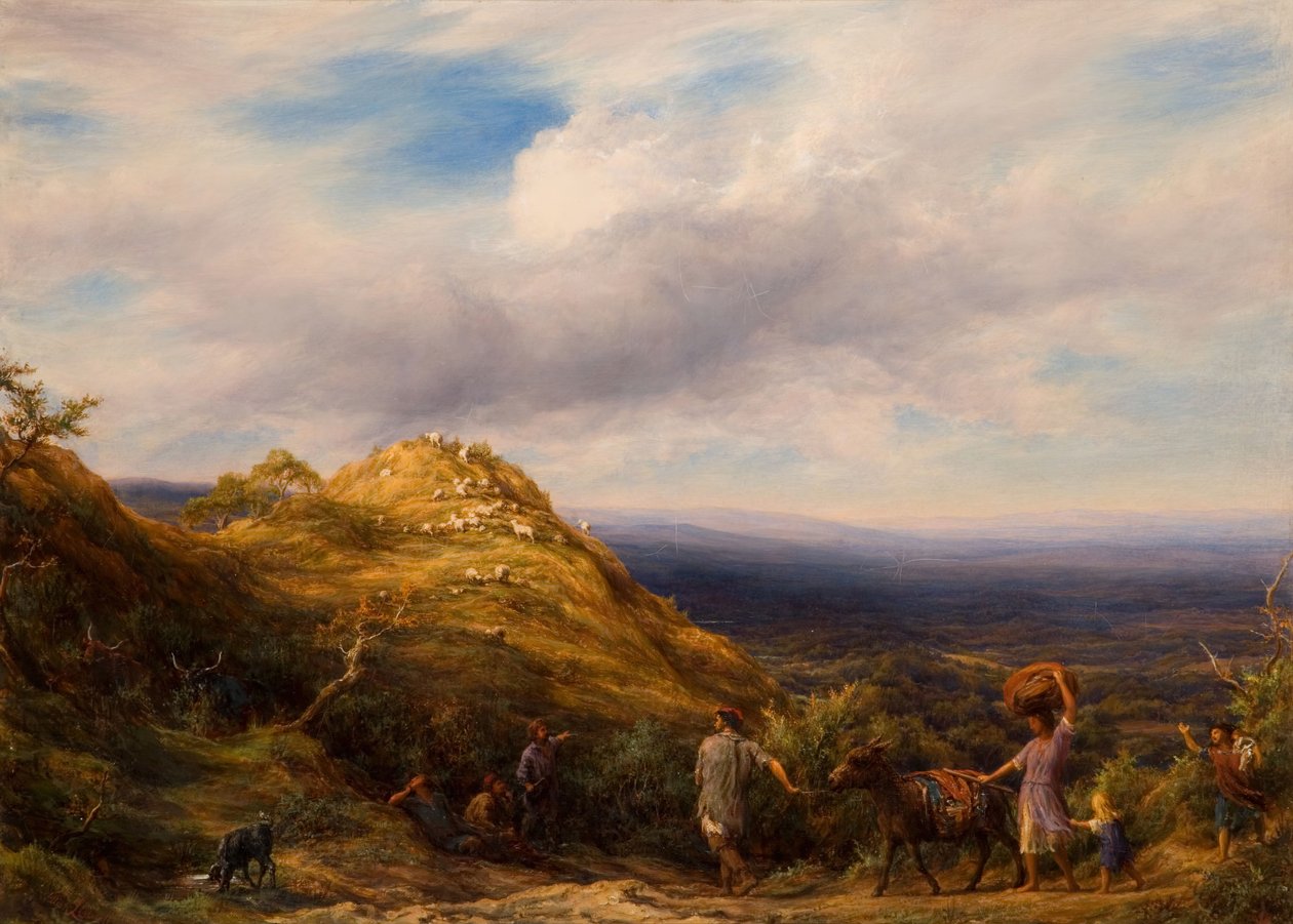 A Wooded Valley and Hill, 1865. de William Linnell