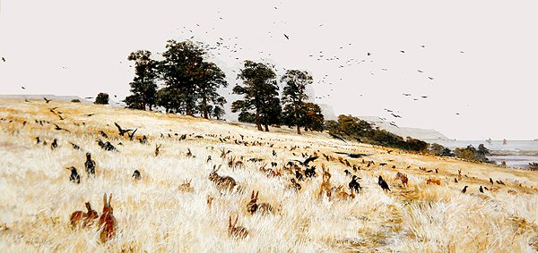 A Rookery, c.1889 (óleo sobre tela) de William Lionel Wyllie
