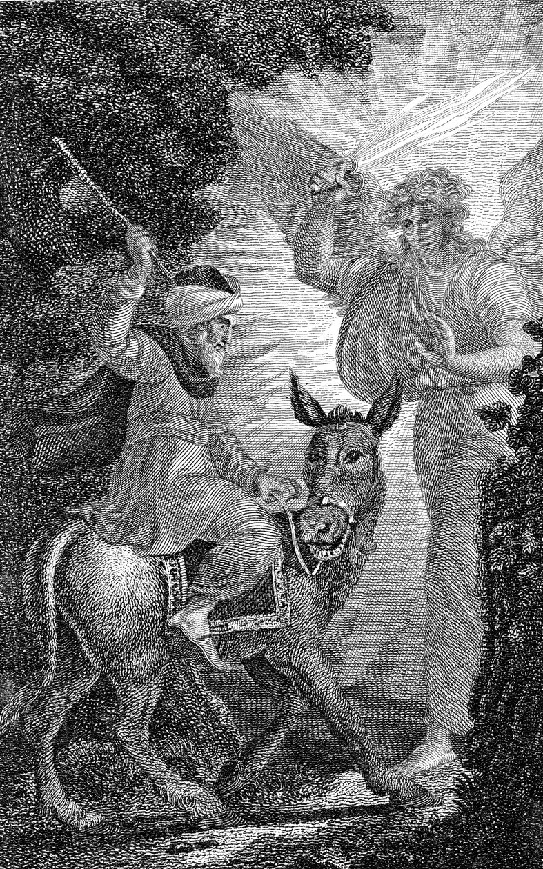 Balaams Ass, c1790-1834 de William Marshall Craig