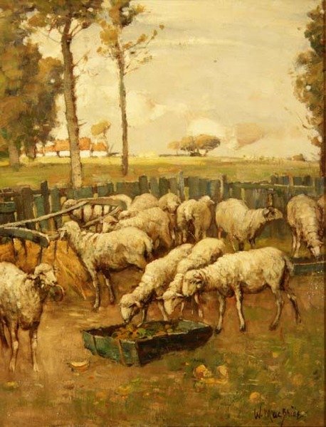 O Dobra de Ovelhas de William McBride