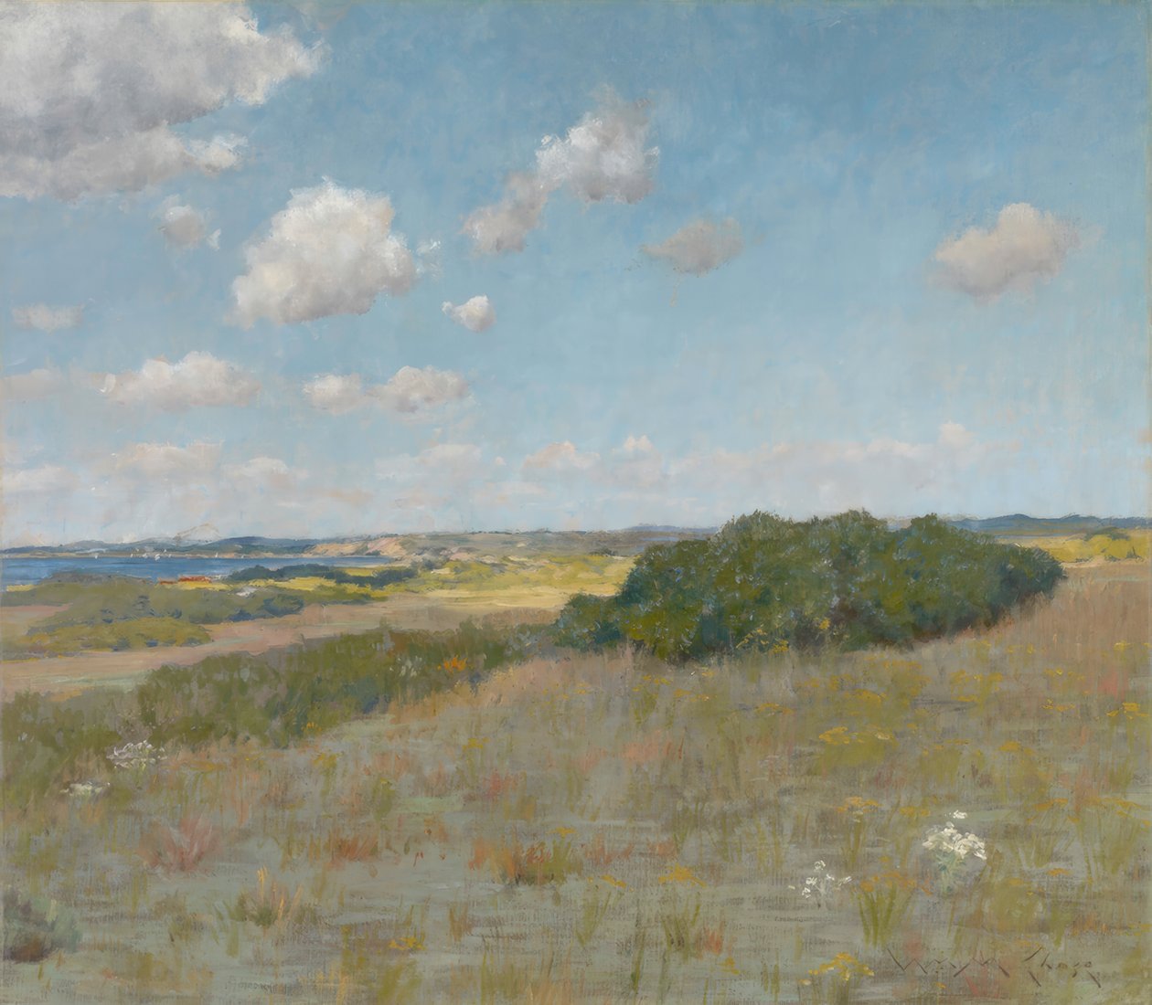 Luz Solar e Sombra, Shinnecock Hills de William Merritt Chase