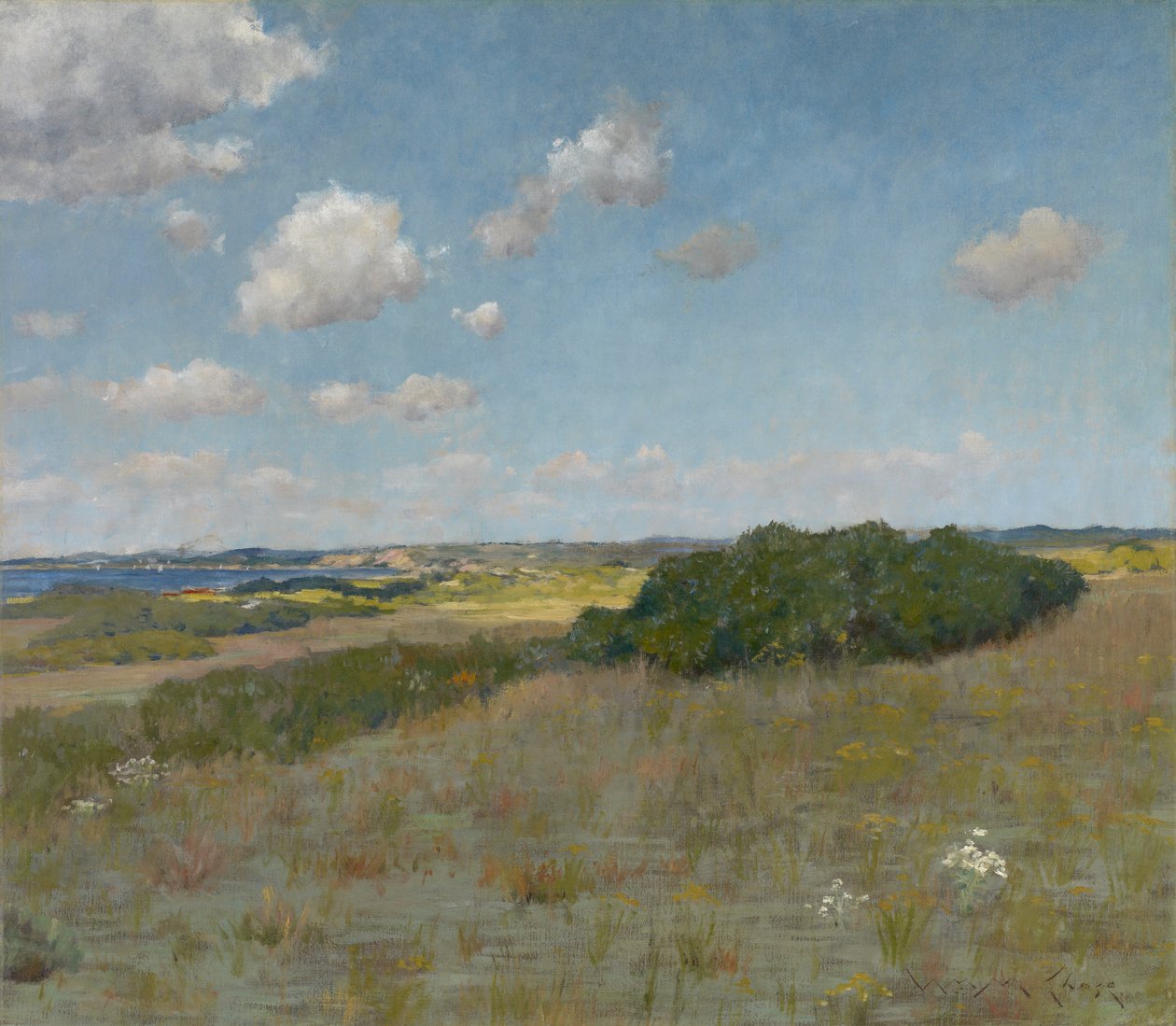 Sunlight and Shadow, Shinnecock Hills, c.1895 (óleo sobre tela) de William Merritt Chase
