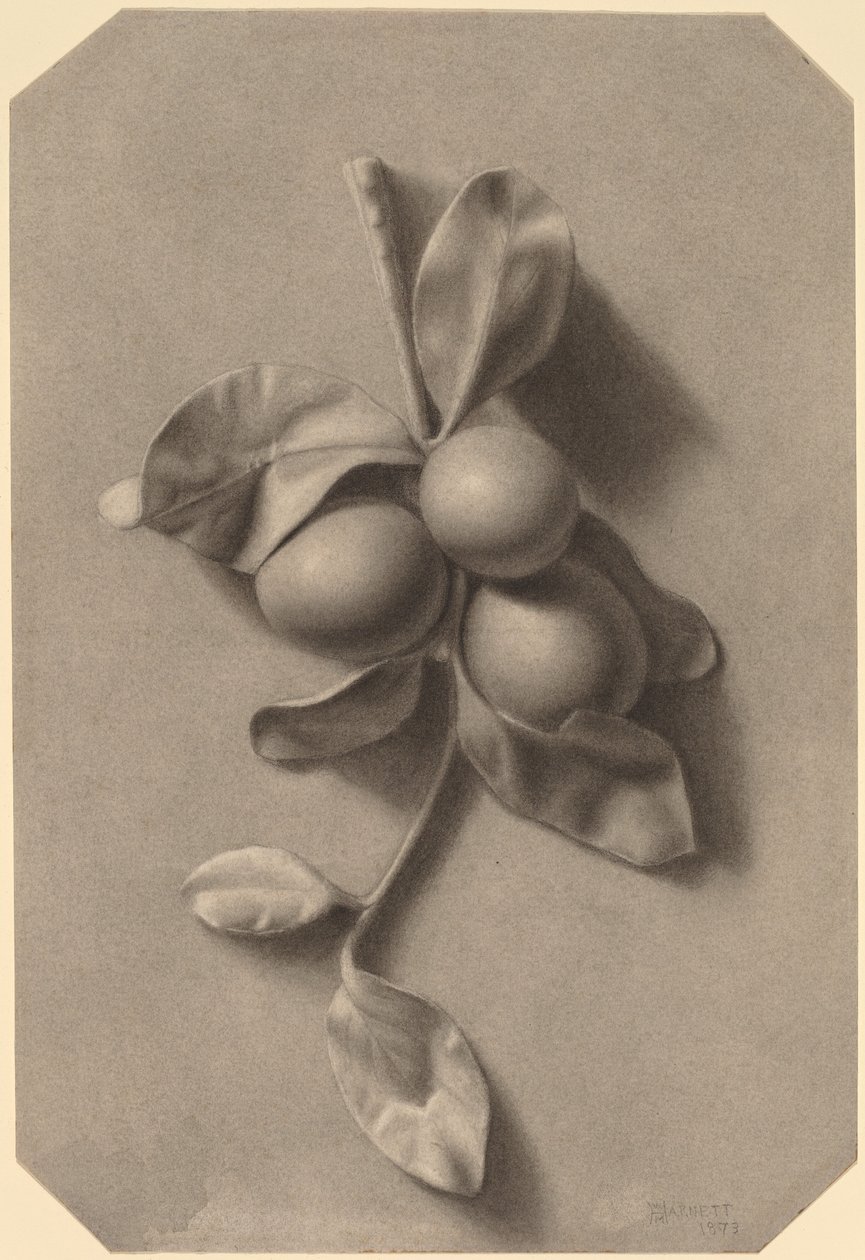 Um raminho de ameixas de William Michael Harnett