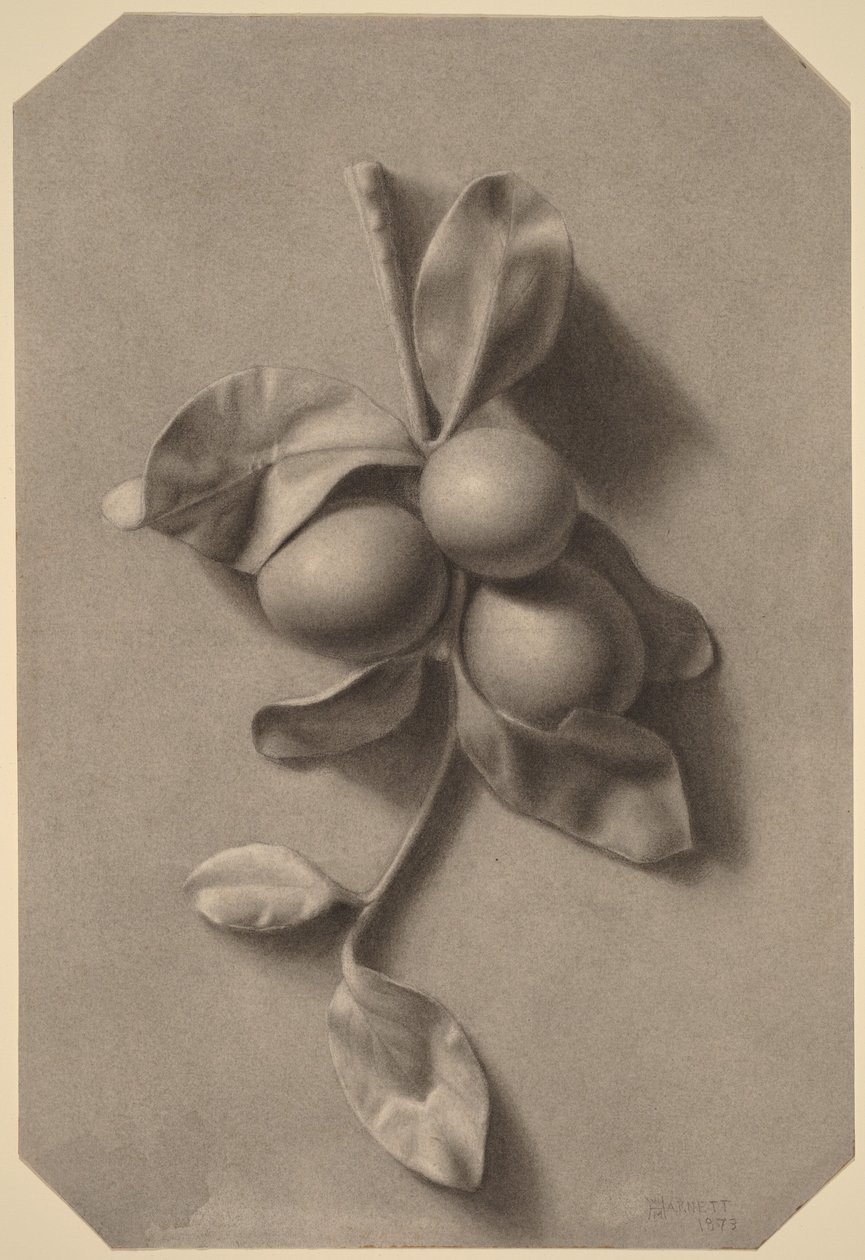 Um ramo de ameixas de William Michael Harnett
