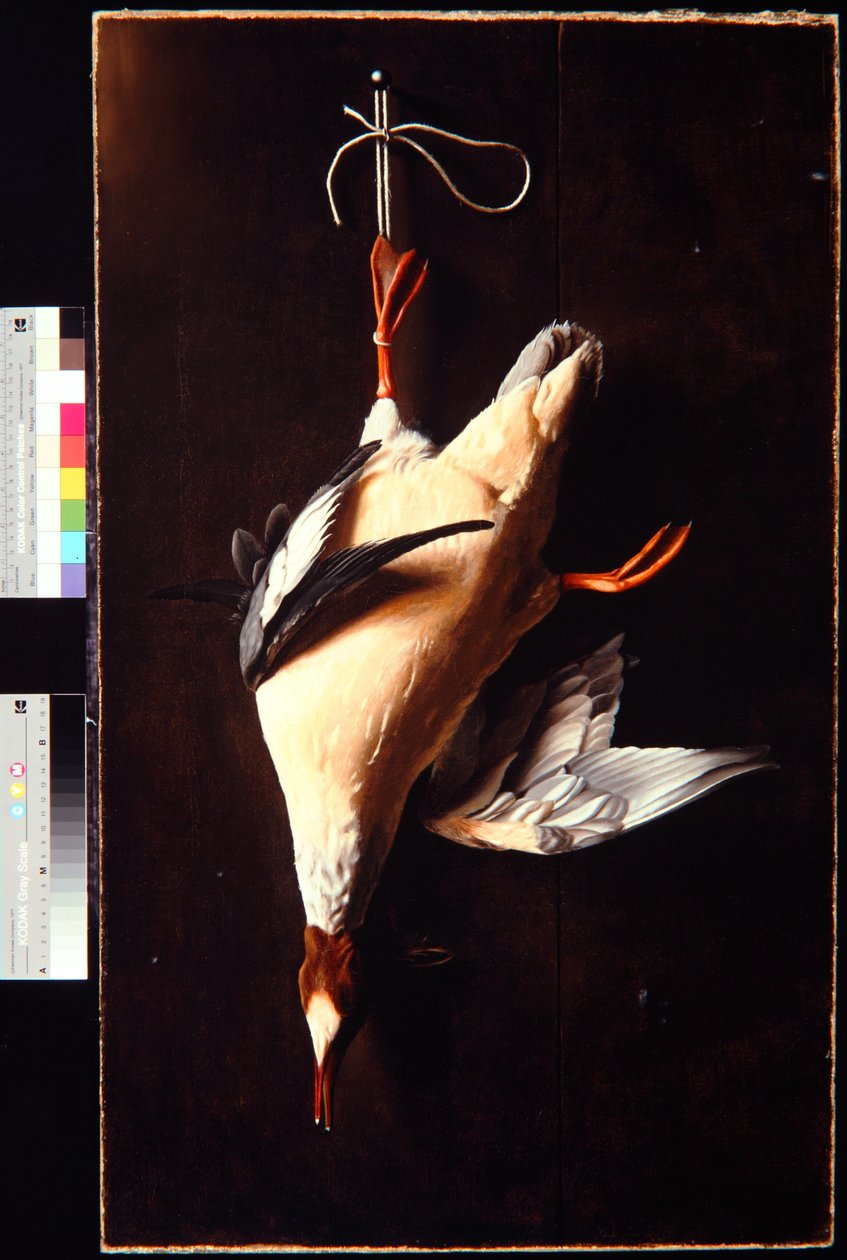 Pato-mergulhão de William Michael Harnett