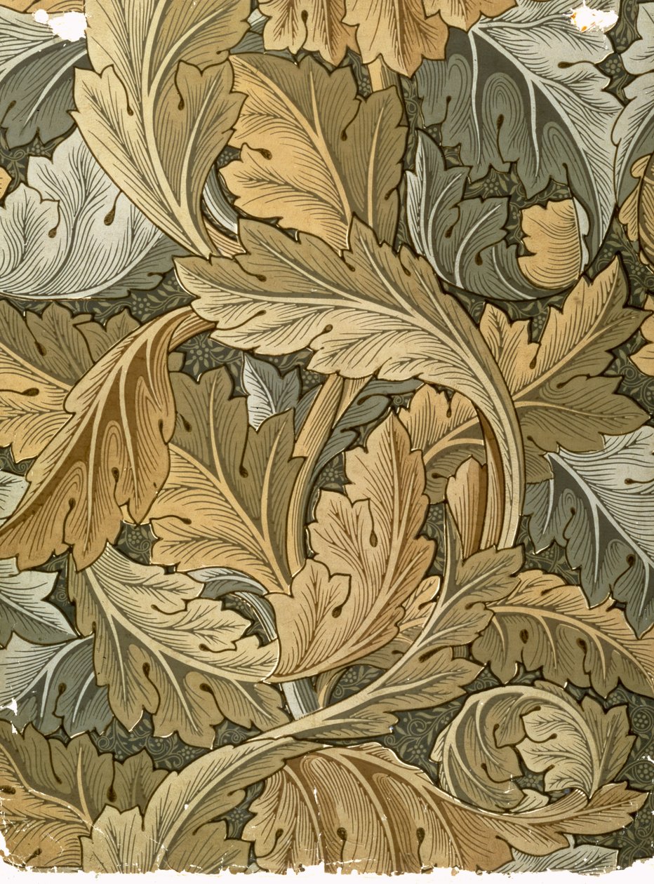 Papel de parede de acanto, desenhado por William Morris (1834-96), 1875 de William Morris