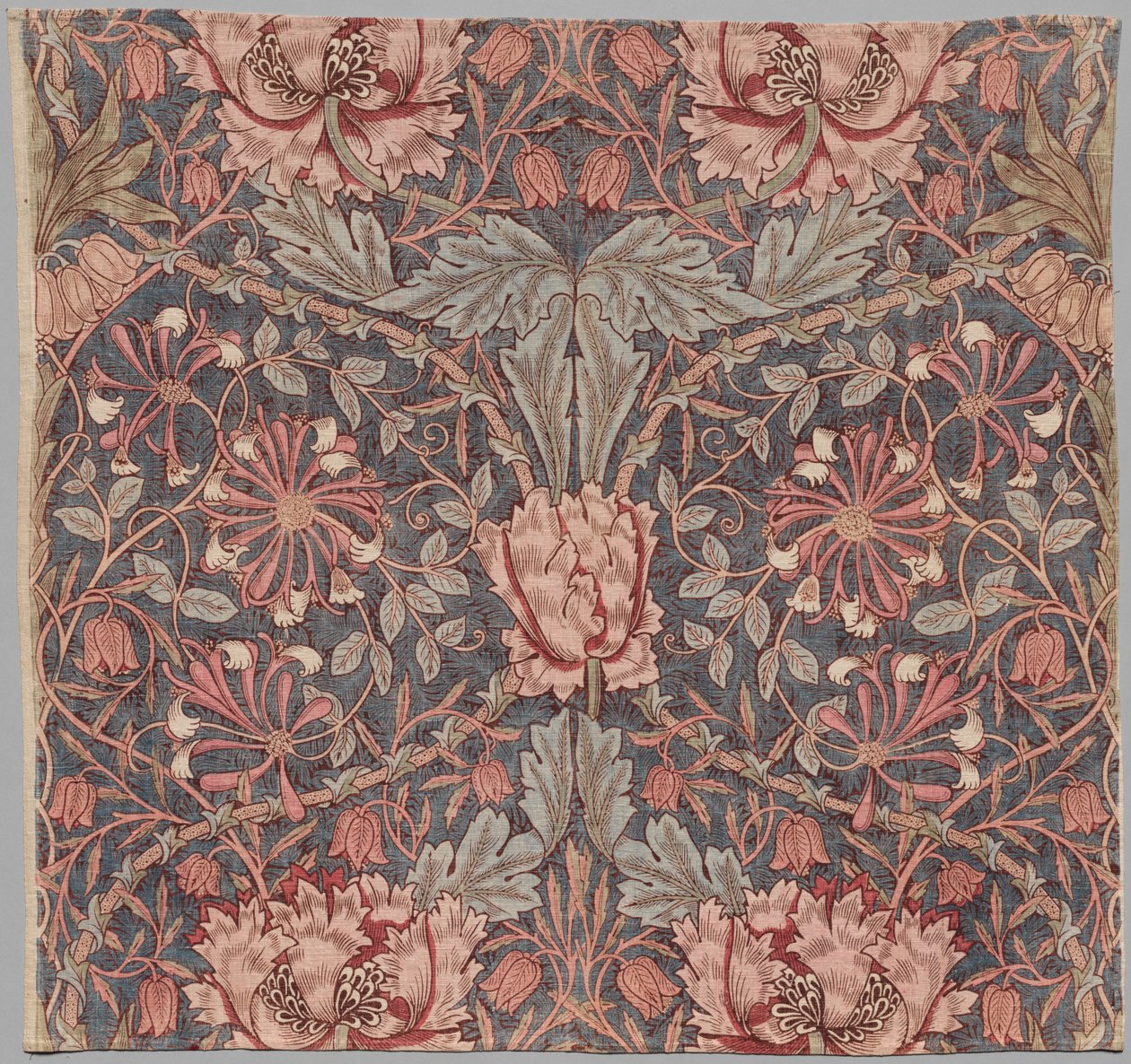 Madressilva, início do século XX. de William Morris