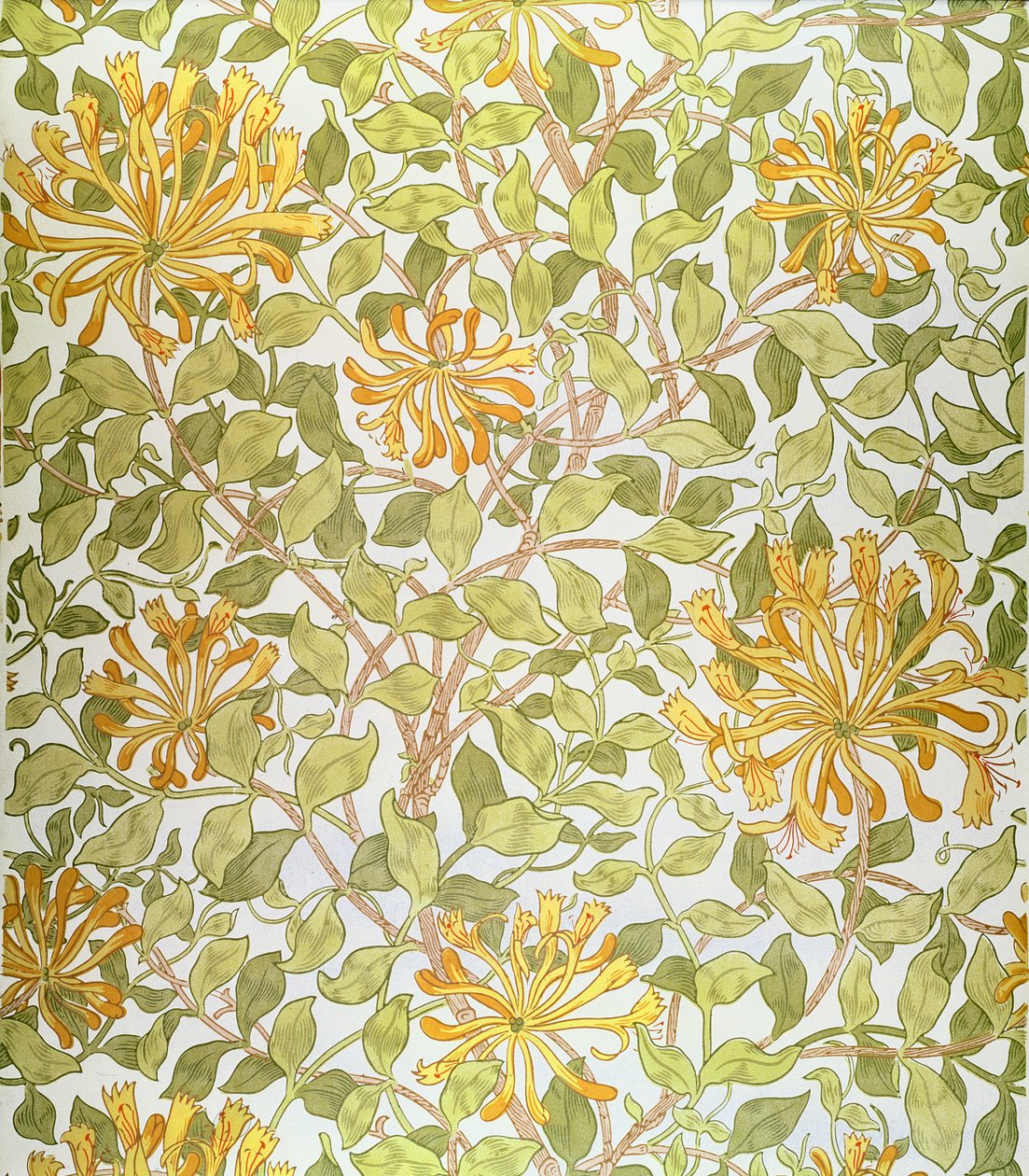Design &39;madressilva&39;, 1883 de William Morris