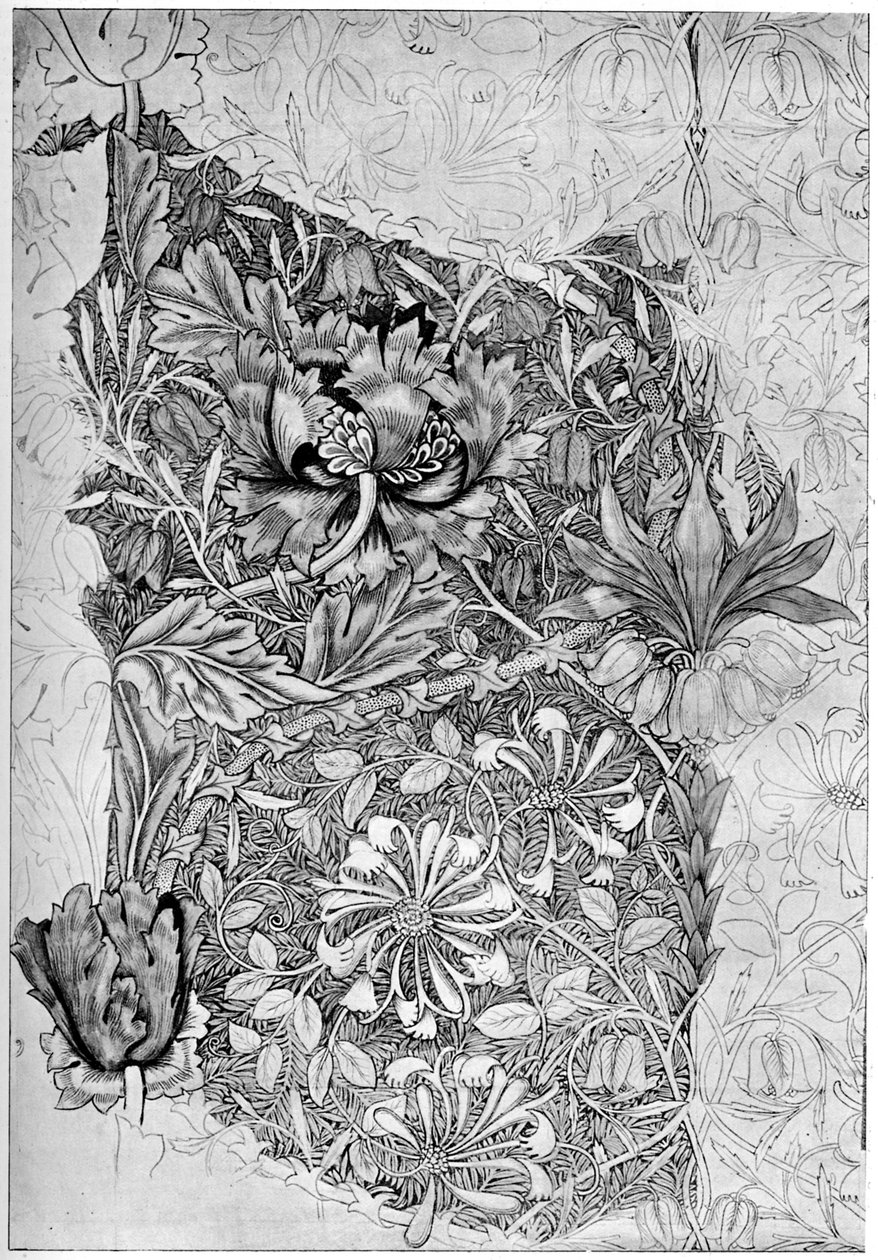 Teste padrão da madressilva impresso em linho, 1883 1934. de William Morris
