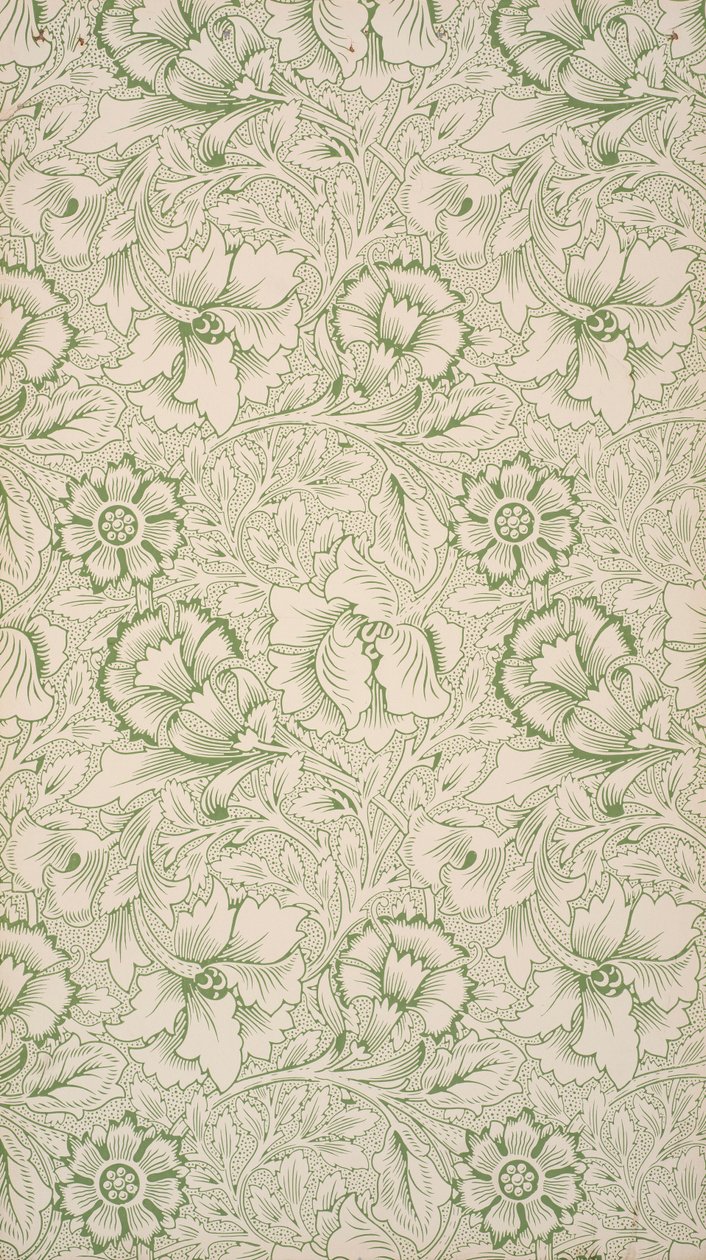 Rosa e Papoula. Papel de parede, 1881. de William Morris