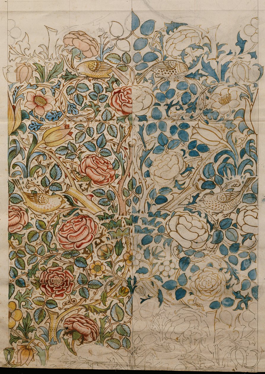Rose, design para chintz de William Morris