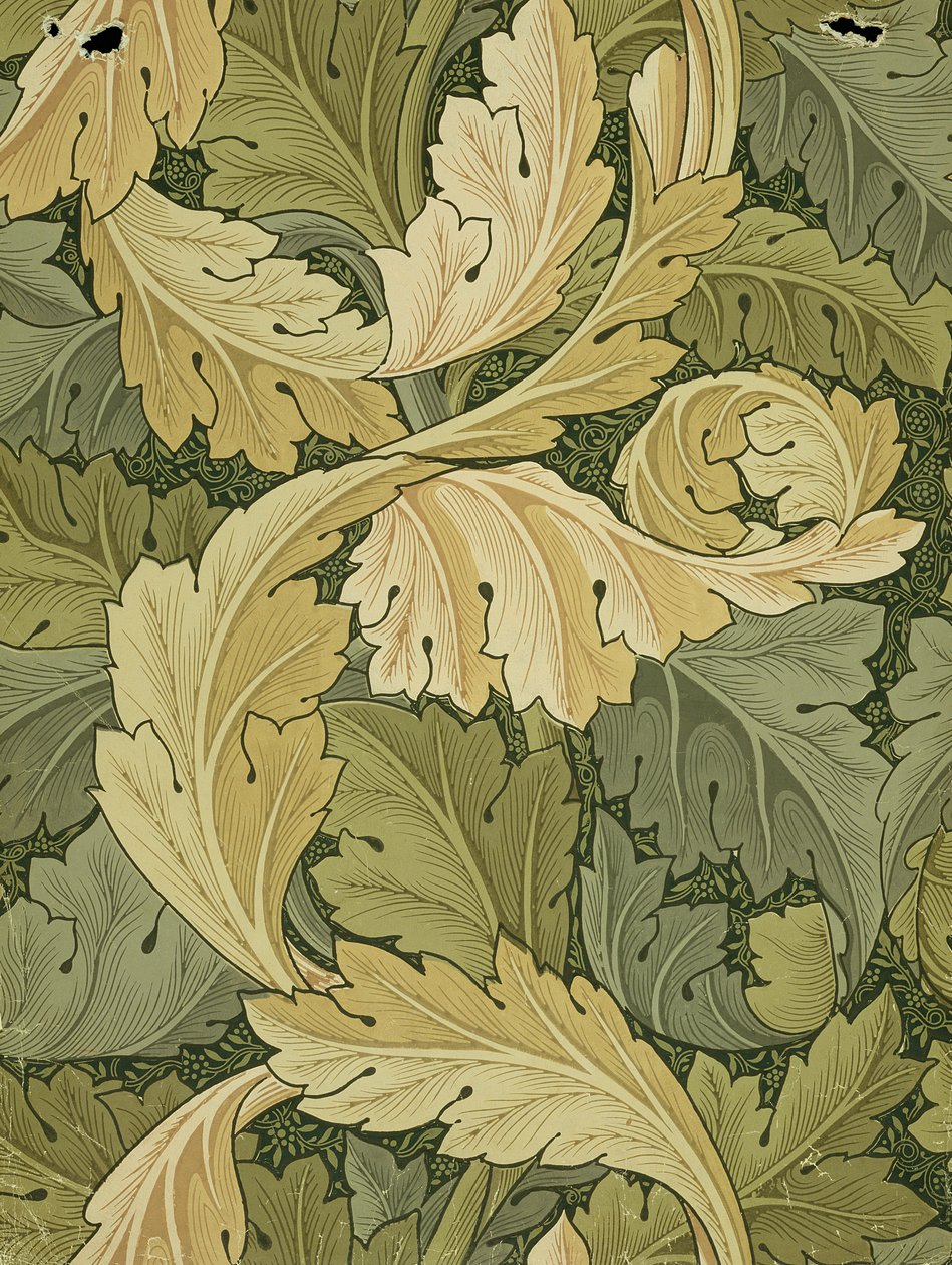 Wallpaper Design com cores AcanthusWoodland, 1875 de William Morris