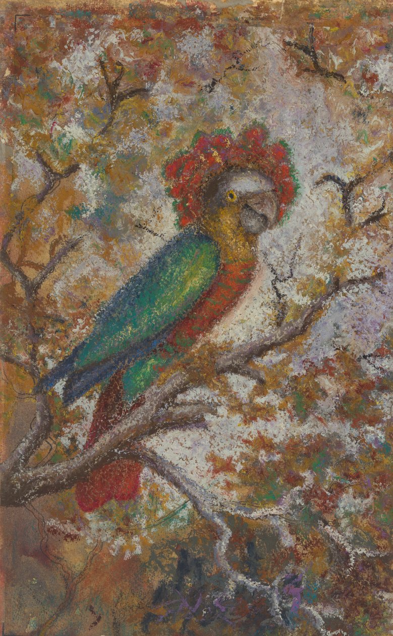 Papagaio, 1909. de William N. Buckner