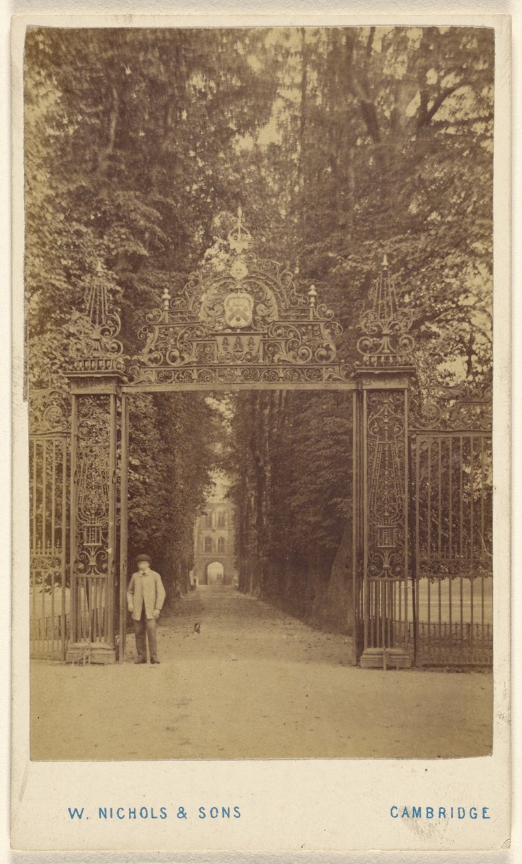 Trinity Cole Avenue de William Nichols and Sons