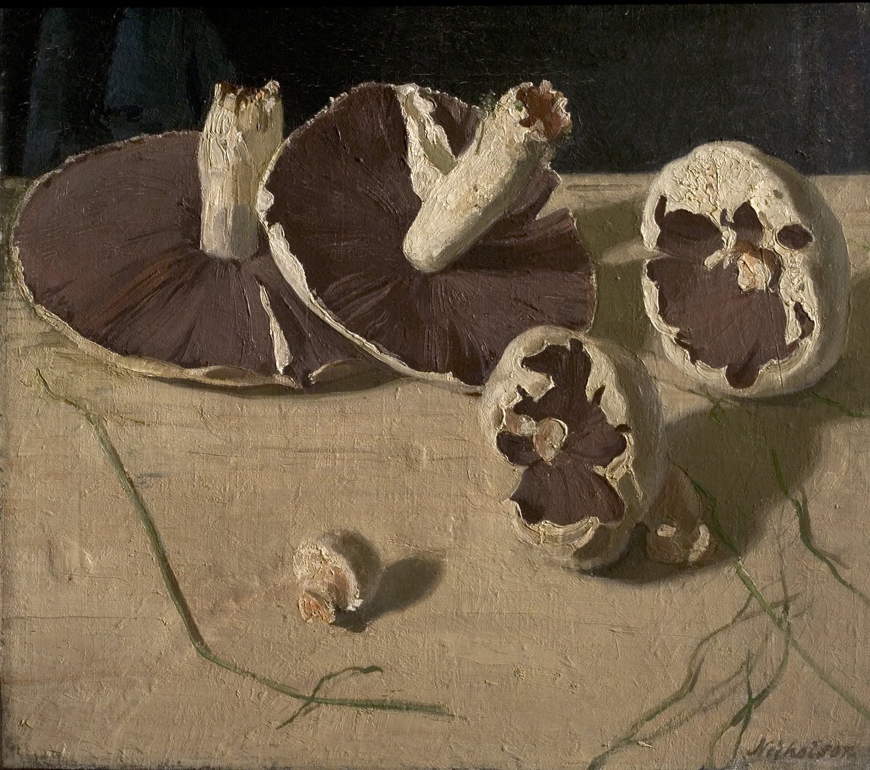 Cogumelos de William Nicholson