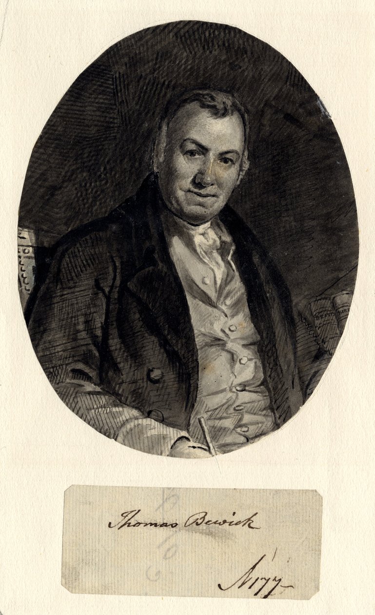 Retrato de Thomas Bewick (tinta sobre papel (colada sobre papel)) de William Nicholson