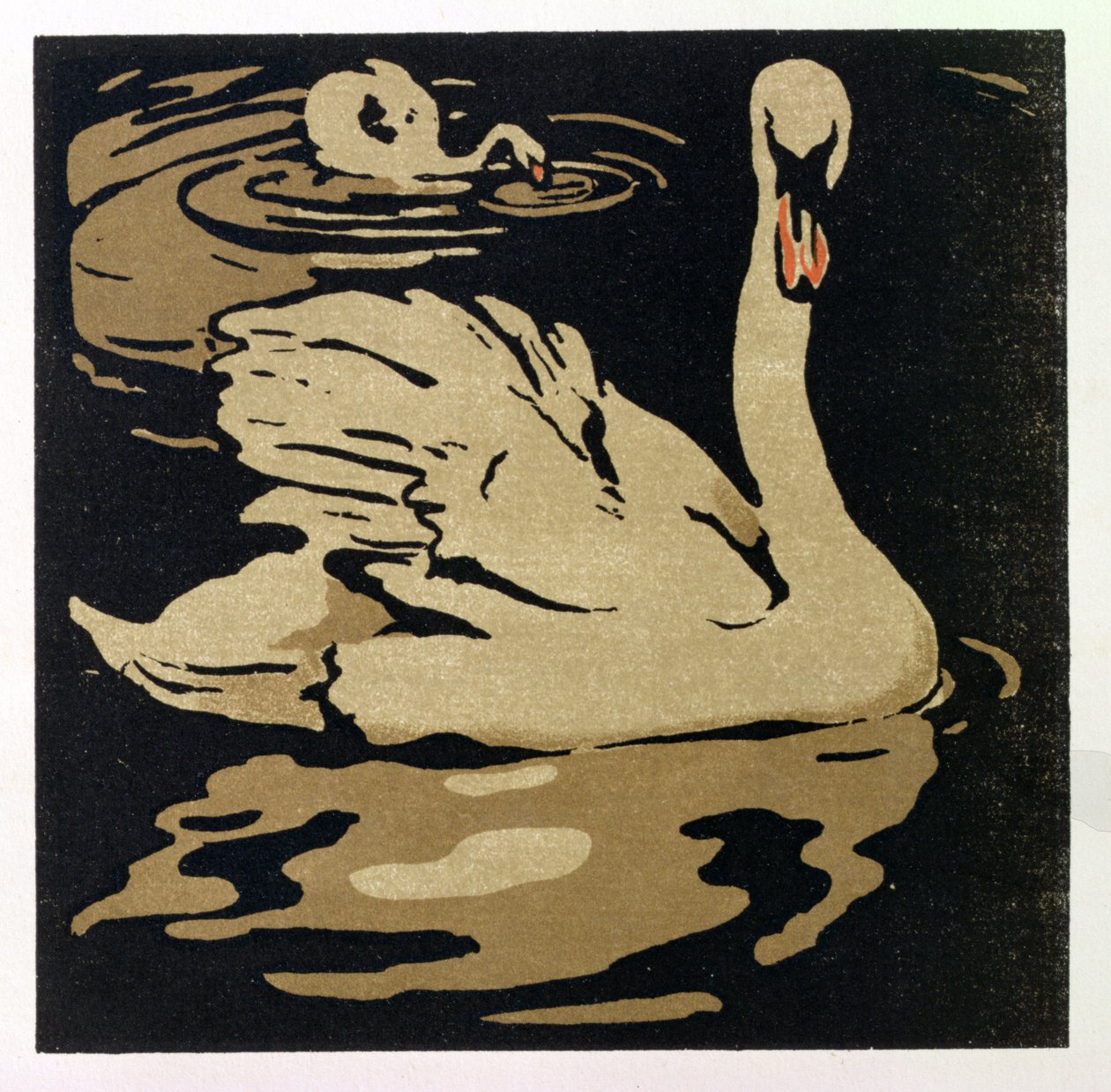 The Beautiful Swan, ilustração de 