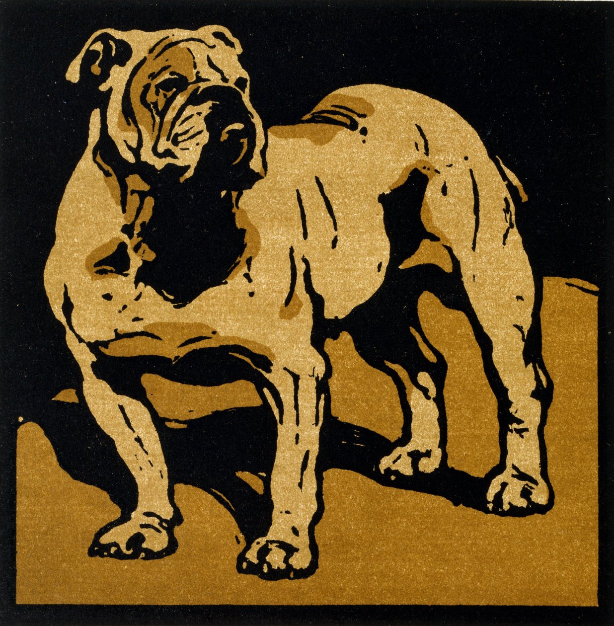 The British Bull-Dog, do 
