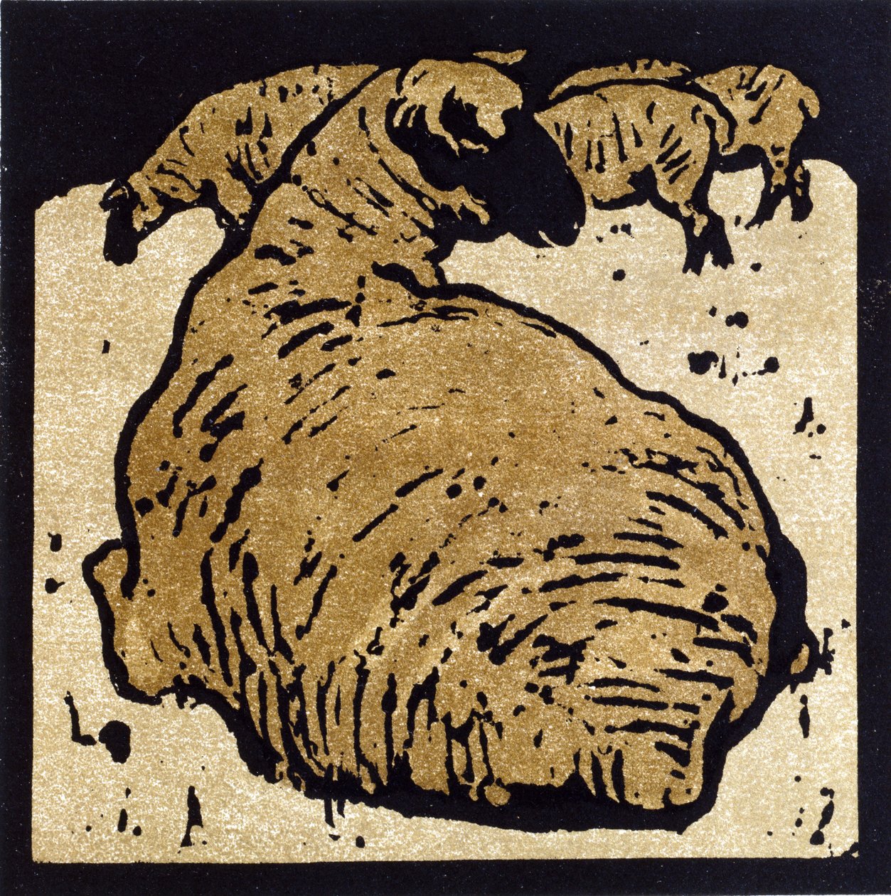 The Simple Sheep, ilustração de 