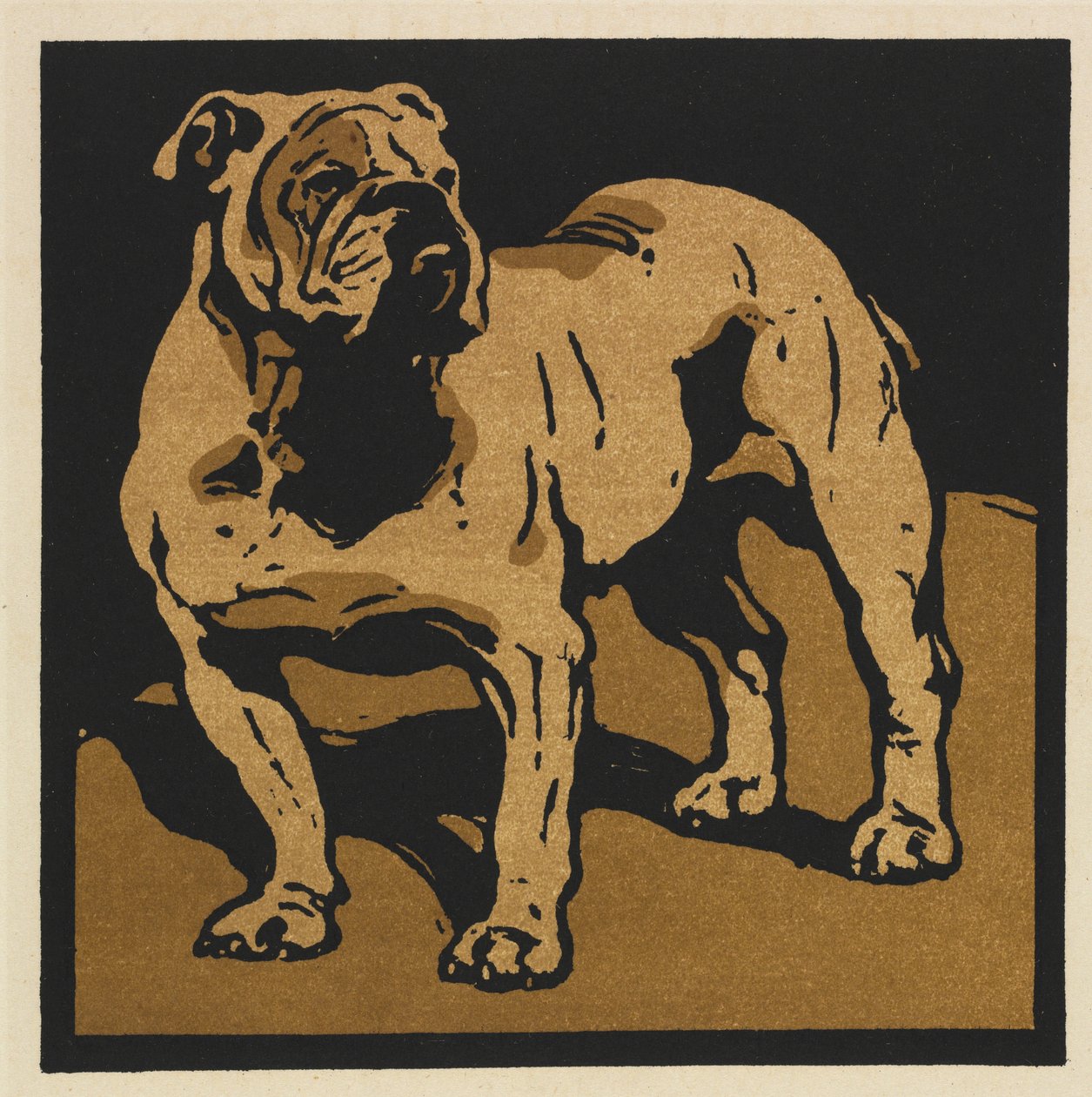 O Livro Quadrado dos Animais: O Bull-Dog Britânico de William Nicholson