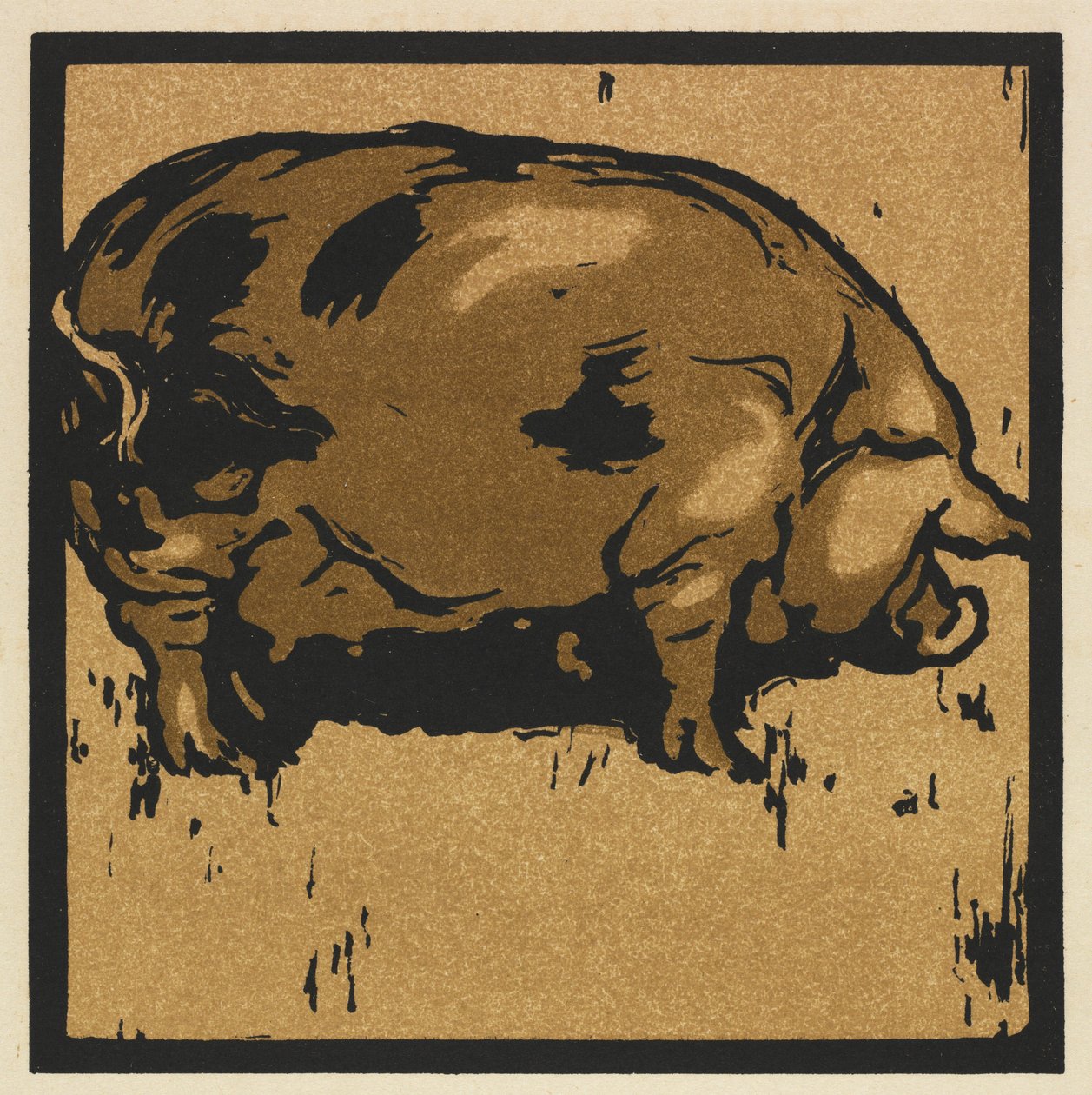 O Livro Quadrado dos Animais: O Porco Erudito de William Nicholson